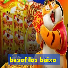 basofilos baixo